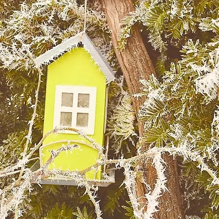 Apartment Hagemeister In - Abc571 - Nur Feriengaeste!